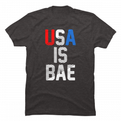 usa is bae shirt